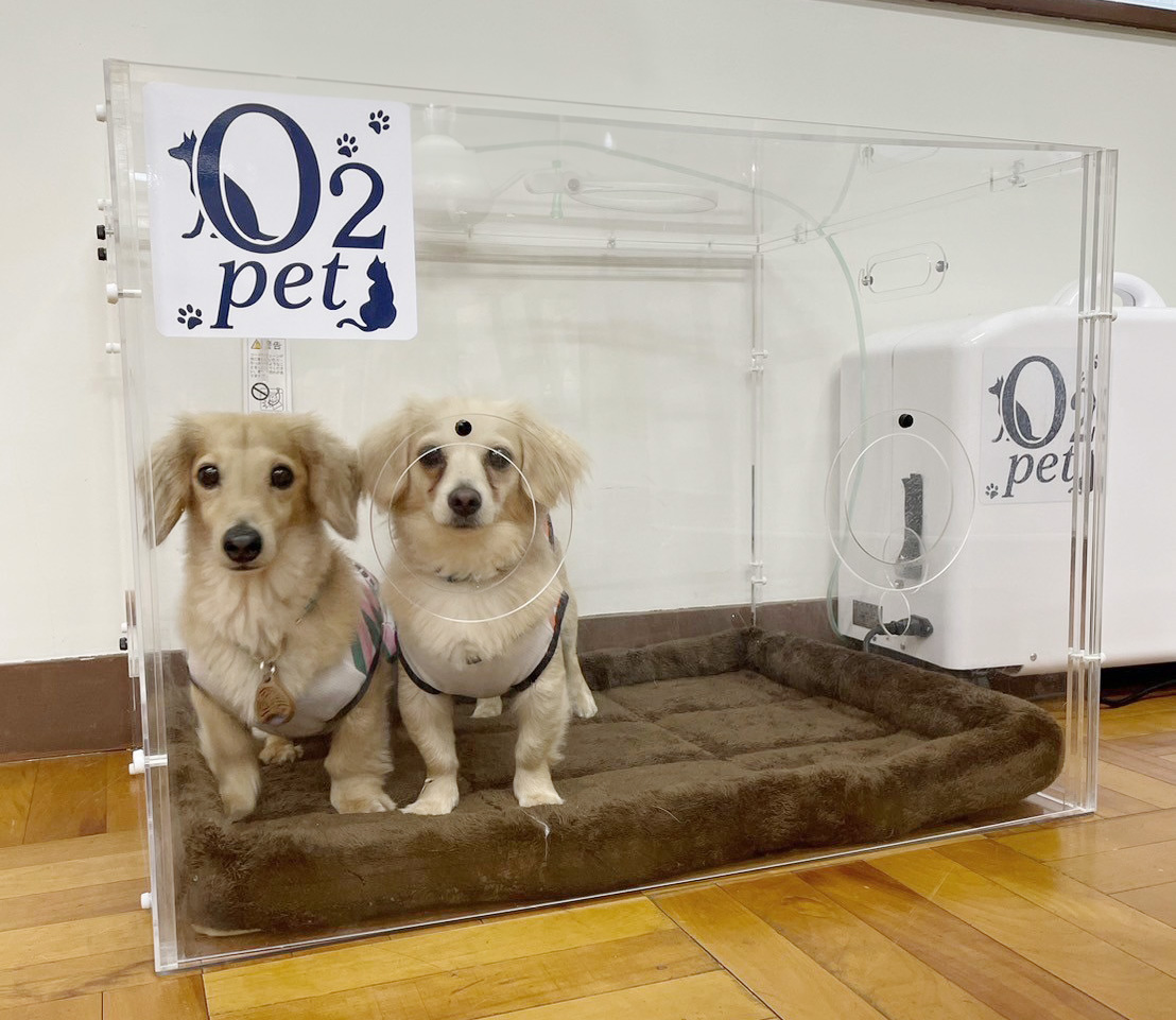 高濃度酸素BOXの写真