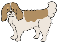 犬のイラスト