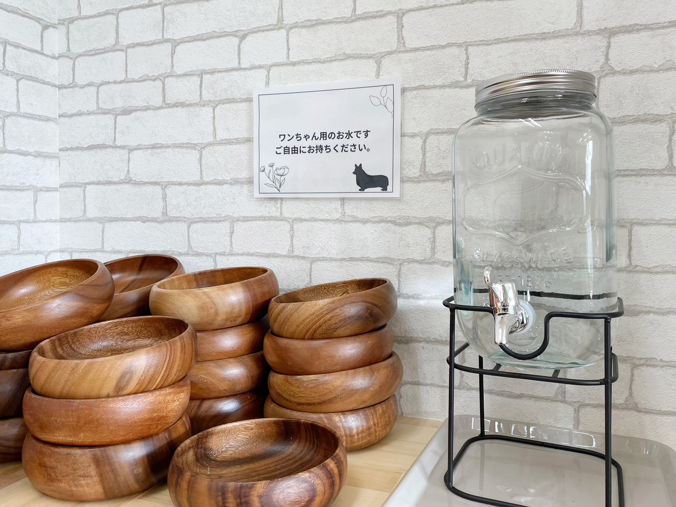 ワンちゃん用お水（カフェ内）の写真