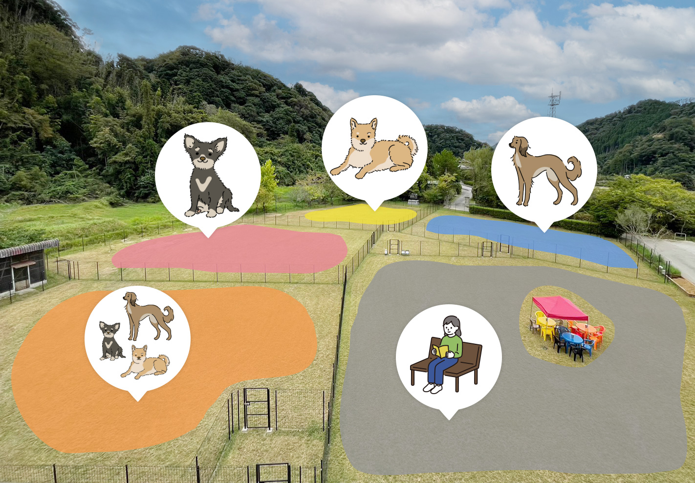 ドッグランエリアの写真