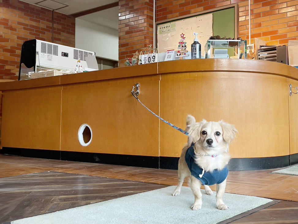 受付前フックの写真