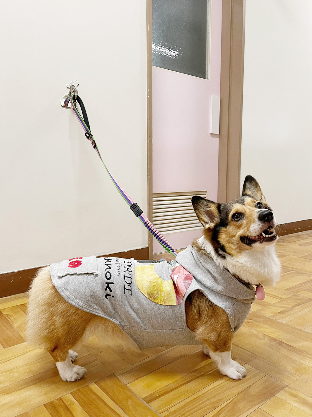 トイレ前フック