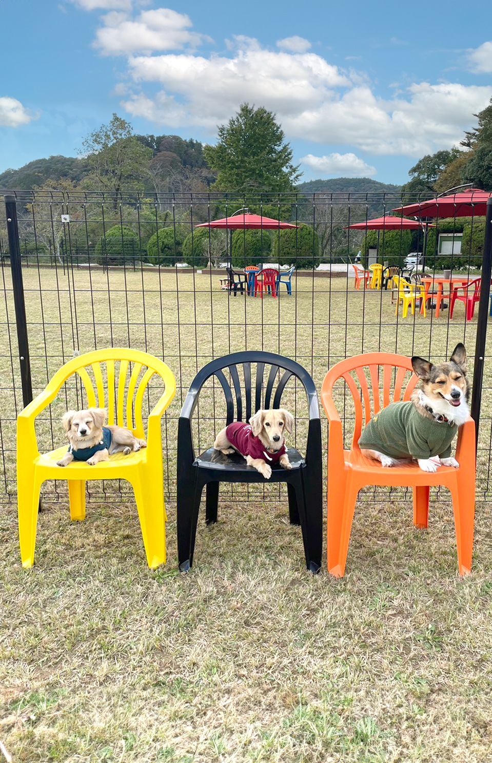 スライドショー1