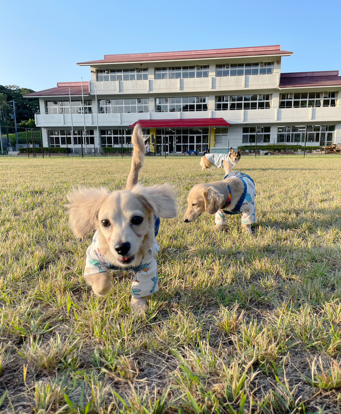 スライドショー2