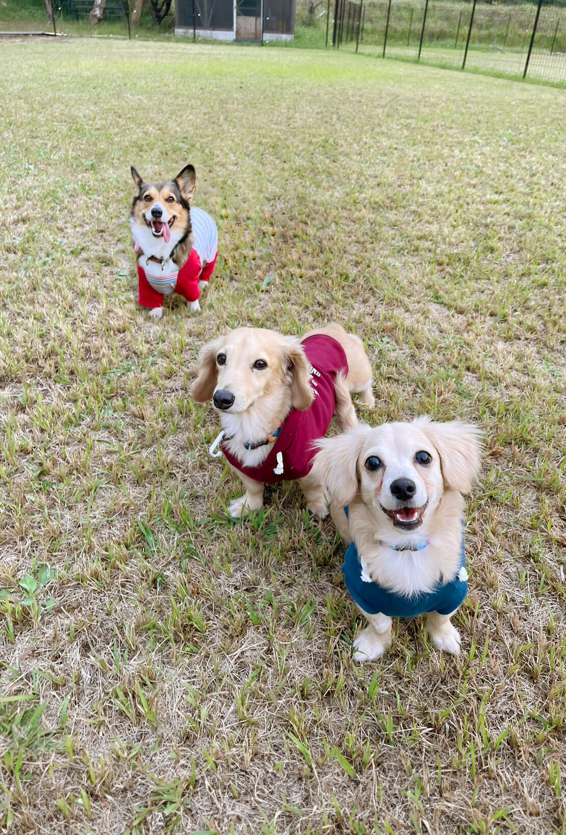 スライドショー3