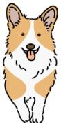 犬のイラスト