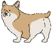 犬のイラスト