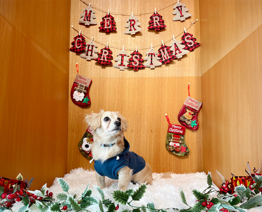 フォトスペース