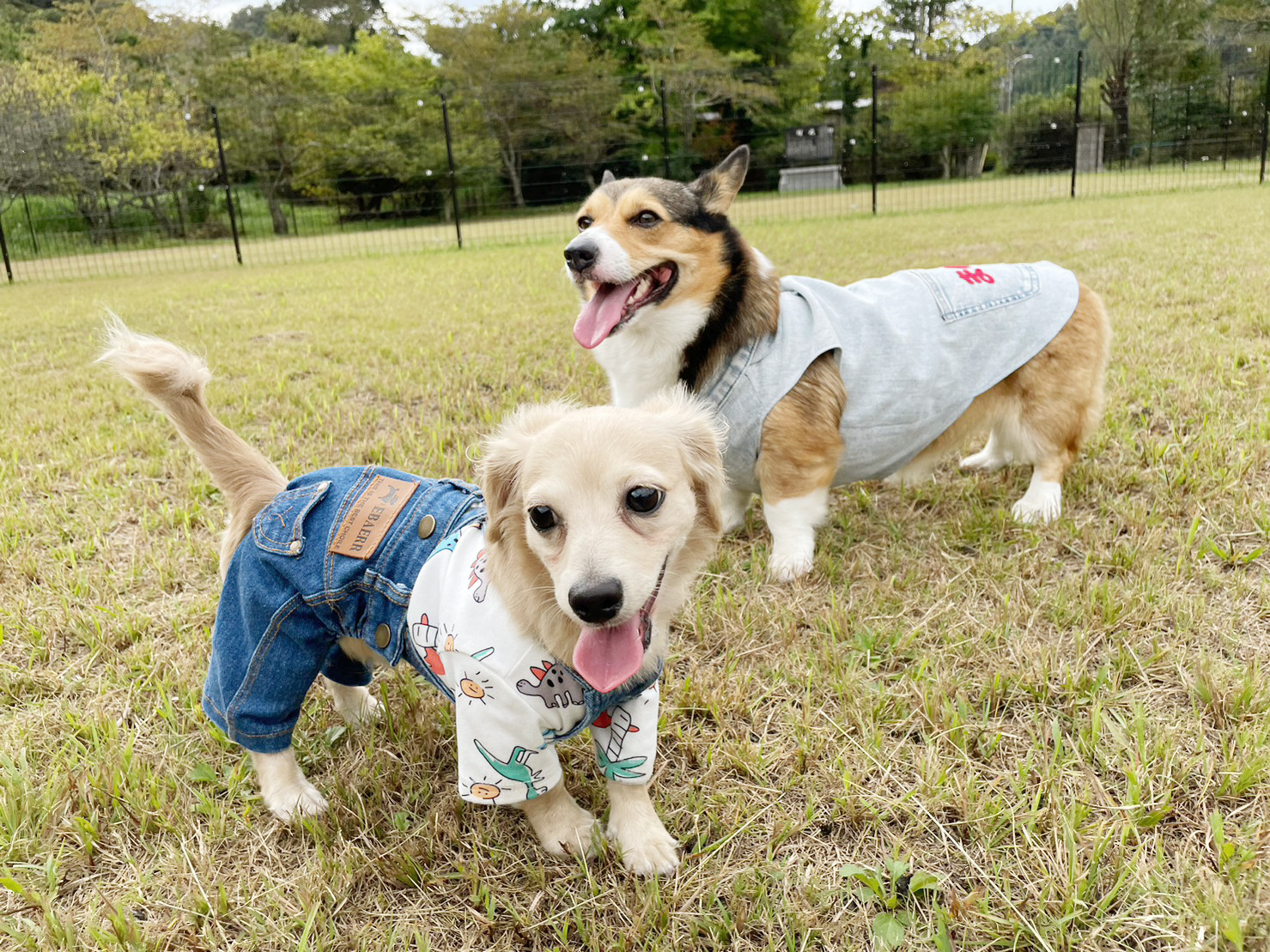 スライドショー2