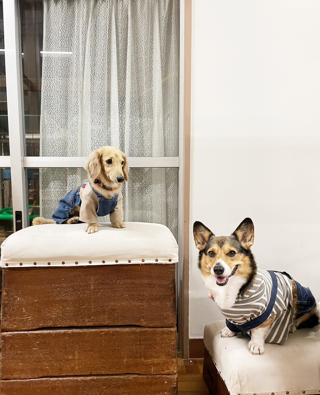 スライドショー3